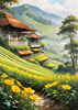 Terraced Tea Plantations with Quaint Cottages in the Distance Landscape Print