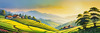 Terraced Tea Plantations with Quaint Cottages in the Distance Landscape Print