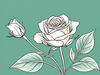 Minimalist Line Art of a Rose Bud About to Bloom