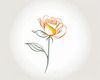 Minimalist Line Art of a Rose Bud About to Bloom