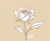Minimalist Line Art of a Rose Bud About to Bloom