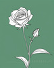 Minimalist Line Art of a Rose Bud About to Bloom