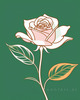 Minimalist Line Art of a Rose Bud About to Bloom