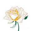 Minimalist Line Art of a Rose Bud About to Bloom