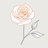 Minimalist Line Art of a Rose Bud About to Bloom