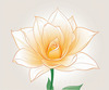 Minimalist Line Art of a Rose Bud About to Bloom