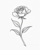Minimalist Line Art of a Rose Bud About to Bloom