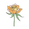 Minimalist Line Art of a Rose Bud About to Bloom