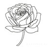Minimalist Line Art of a Rose Bud About to Bloom