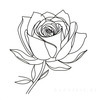 Minimalist Line Art of a Rose Bud About to Bloom