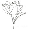 Minimalist Line Art of a Rose Bud About to Bloom
