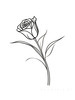 Minimalist Line Art of a Rose Bud About to Bloom