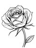 Minimalist Line Art of a Rose Bud About to Bloom