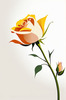 Minimalist Line Art of a Rose Bud About to Bloom
