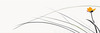 Minimalist Line Art of a Rose Bud About to Bloom