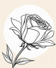 Minimalist Line Art of a Rose Bud About to Bloom