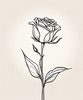 Minimalist Line Art of a Rose Bud About to Bloom