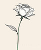 Minimalist Line Art of a Rose Bud About to Bloom