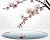 Abstract Tranquil Cherry Blossoms Falling on Pond Art Print