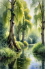 Printable Art of a Tranquil Forest Pond with Weeping Willows