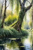 Printable Art of a Tranquil Forest Pond with Weeping Willows
