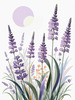 Minimalist Nature Art of Sunrise over Serene Lavender Field