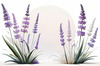 Minimalist Nature Art of Sunrise over Serene Lavender Field