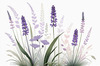 Minimalist Nature Art of Sunrise over Serene Lavender Field