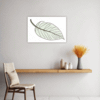 Tropical Croton Leaf Kitchen Demo