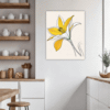 Trumpet Daffodil Sway Kitchen Demo
