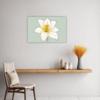 Trumpet Daffodil Sway Kitchen Demo