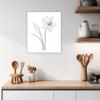 Trumpet Daffodil Sway Kitchen Demo