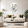 Turkish Angora Cat  Living Room Demo