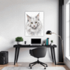 Turkish Angora Cat  Office Demo