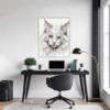 Turkish Angora Cat  Office Demo