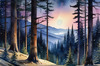 Printable Twilight Scene of Stars Twinkling in Fir Forest Landscape