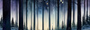 Printable Twilight Scene of Stars Twinkling in Fir Forest Landscape