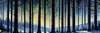 Printable Twilight Scene of Stars Twinkling in Fir Forest Landscape