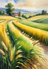 Barley Fields with Feathery Tops Rustling in the Wind Landscape Print