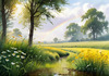 Fresh Verdant Meadow with Glistening Raindrops and Distant Rainbow