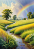 Fresh Verdant Meadow with Glistening Raindrops and Distant Rainbow