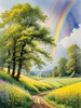 Fresh Verdant Meadow with Glistening Raindrops and Distant Rainbow