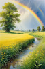 Fresh Verdant Meadow with Glistening Raindrops and Distant Rainbow