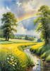 Fresh Verdant Meadow with Glistening Raindrops and Distant Rainbow