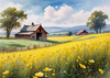 Yellow Canola Fields in Bloom Contrasted by Blue Sky and Distant Barn Landscape Print