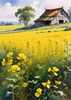 Yellow Canola Fields in Bloom Contrasted by Blue Sky and Distant Barn Landscape Print