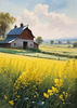 Yellow Canola Fields in Bloom Contrasted by Blue Sky and Distant Barn Landscape Print