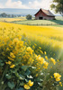 Yellow Canola Fields in Bloom Contrasted by Blue Sky and Distant Barn Landscape Print