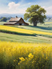 Yellow Canola Fields in Bloom Contrasted by Blue Sky and Distant Barn Landscape Print
