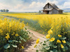 Yellow Canola Fields in Bloom Contrasted by Blue Sky and Distant Barn Landscape Print